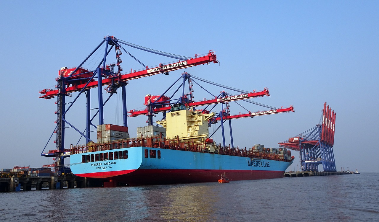 Egypt: India becomes official importer of wheat for the country of the pharaohs