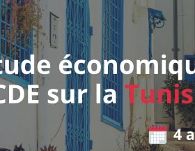 L’OCDE demande à la Tunisie de mettre en place «  un environnement politique stable fondé sur la démocratie et l'État de droit, essentiel au succès économique »