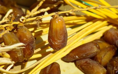 Maroc : Belle performance des exportations agricoles en 2021 en hausse de 9%