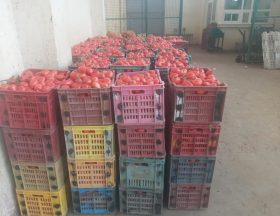 Tunisie : Le ministère du commerce interdit les exportations de certains légumes et voit une dégradation de sa balance commerciale alimentaire