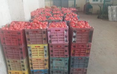 Tunisia: The Ministry of Commerce bans the export of certain vegetables and sees a deterioration in its food trade balance