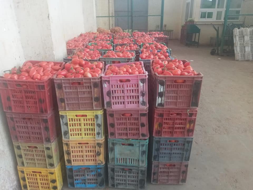 Tunisie : Le ministère du commerce interdit les exportations de certains légumes et voit une dégradation de sa balance commerciale alimentaire