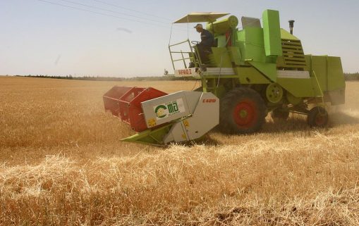 L'Algérie veut valoriser les produits agricoles de son terroir, qui occupent une place importante sur le marché national, destinés à la confiserie tels la confiture, le beurre et le miel