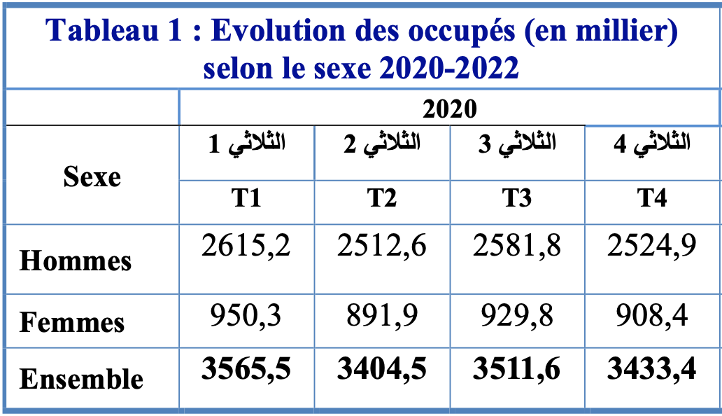 Tunisie : Quelle est la situation de l’emploi et du chômage en 2022 ? 3