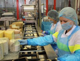 Maroc : Le groupe français Bel, un des principaux acteurs mondiaux sur le fromage, a signé un accord avec l’entreprise laitière polonaise Polmlek, pour vendre sa participation dans la société Safilait