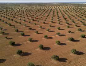Algérie : L’entreprise Mahroussa inaugure une nouvelle ligne production d’huile alimentaire permettant la production de 400 tonnes par jour 