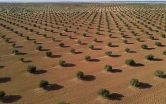 Algérie : L’entreprise Mahroussa inaugure une nouvelle ligne production d’huile alimentaire permettant la production de 400 tonnes par jour 