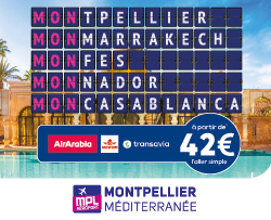 AMM Ecomnews BanniereVertical 250x203px MAROC