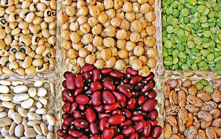 Legumes 665788