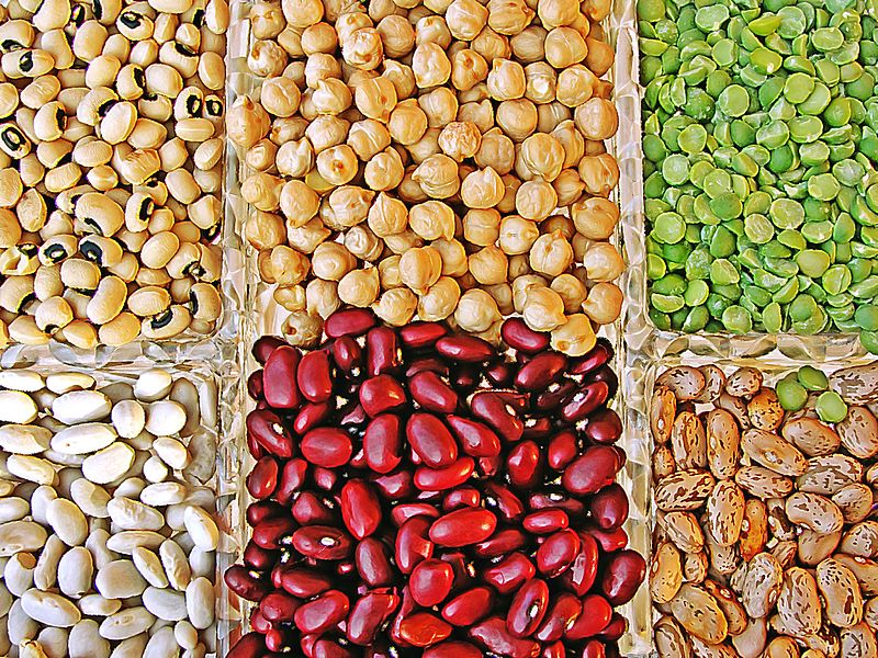 Legumes 665788