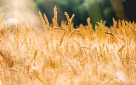 stephen radford xpeAiAmT uA unsplash