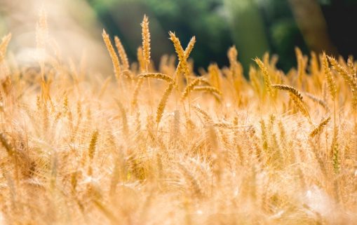 stephen radford xpeAiAmT uA unsplash