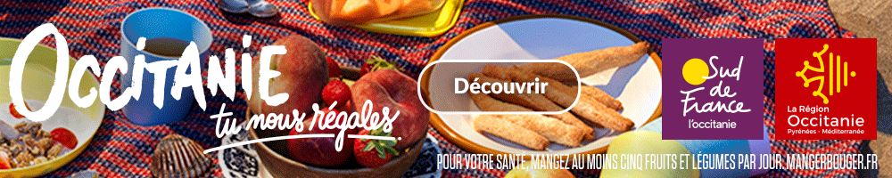 SDF ETE Bannieres display 1000x200 2023 PLAGE