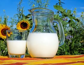 milk 2474993 1280