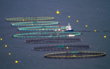 fish farming 7557623 1280