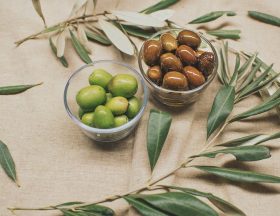 olives 4636996 1280