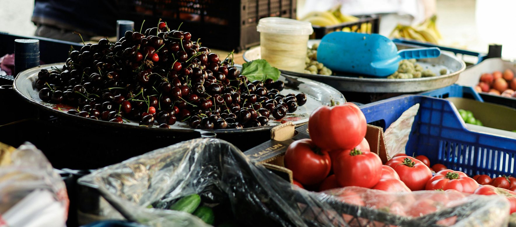 pexels esrakorkmaz 24804869