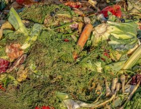compost 3663514 1280
