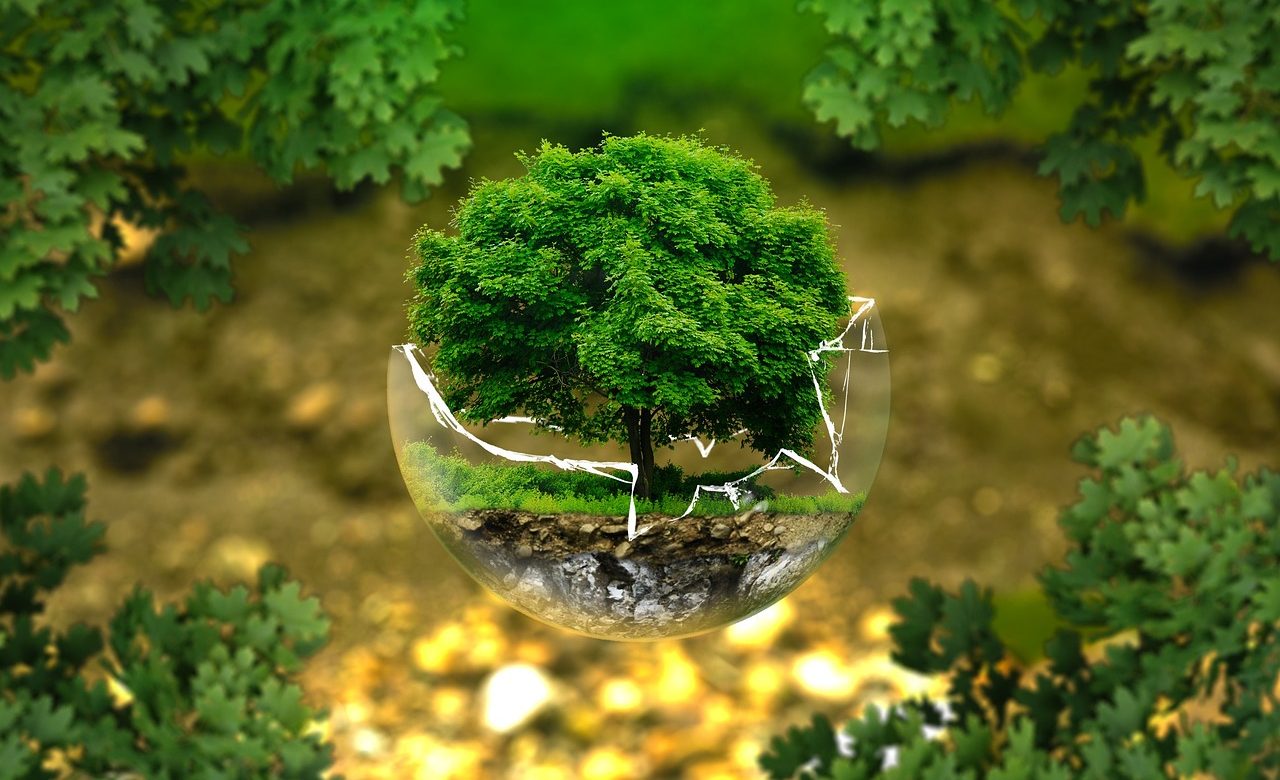 environmental protection 326923 1280