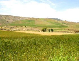 ble algérie 2