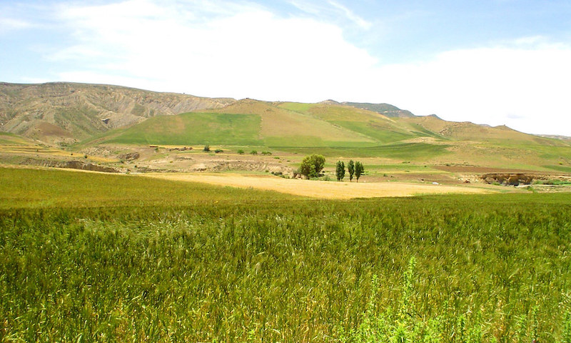 ble algérie 2
