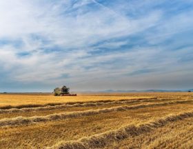 photo agri