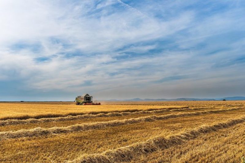 photo agri