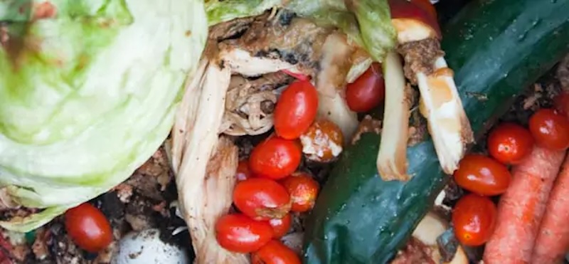 gaspillage alimentaire 1 milliard repas jetes ZeGreenWeb copie