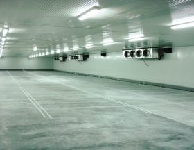 zone stockage congelation ultra basse temperature