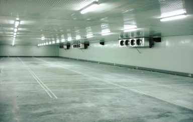 zone stockage congelation ultra basse temperature