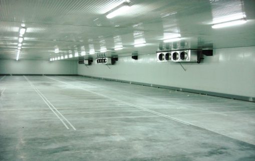 zone stockage congelation ultra basse temperature