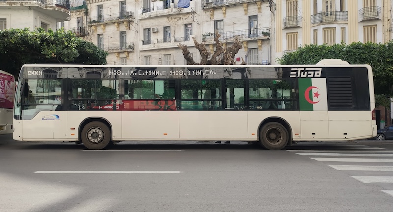 Algiers Bus with text in Tamazight