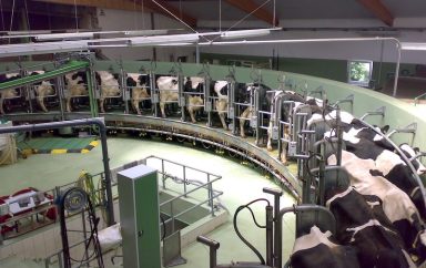 vach