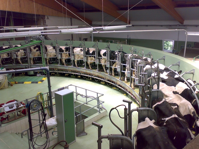 vach
