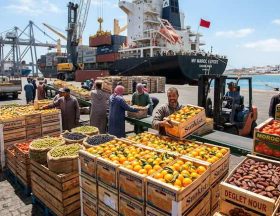 Firefly GeminiFlash Photo réelle exportations agricoles maroc Enlève le bandeau avec l'écriture 18562