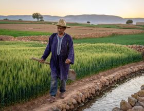 Firefly Photo réelle Le secteur agricole marocain voit sa croissance augmenter ne mets pas 955669