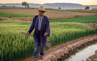Firefly Photo réelle Le secteur agricole marocain voit sa croissance augmenter ne mets pas 955669