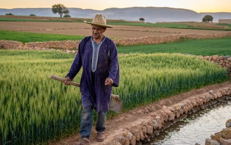 Firefly Photo réelle Le secteur agricole marocain voit sa croissance augmenter ne mets pas 955669