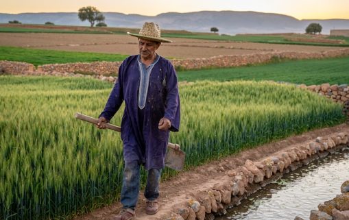 Firefly Photo réelle Le secteur agricole marocain voit sa croissance augmenter ne mets pas 955669