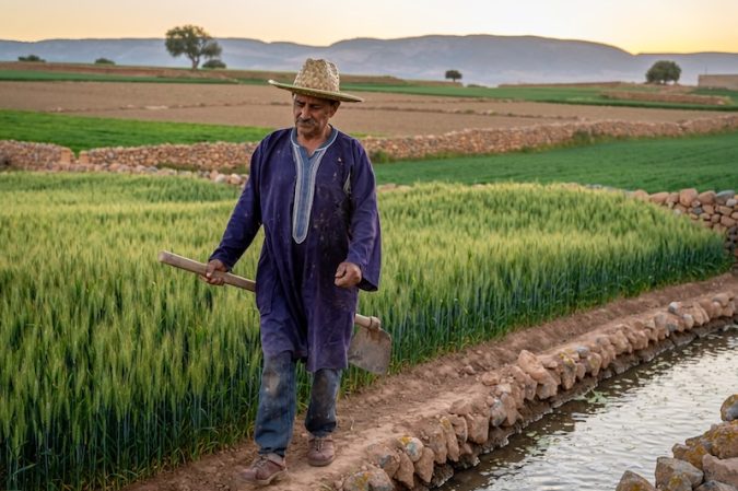 Firefly Photo réelle Le secteur agricole marocain voit sa croissance augmenter ne mets pas 955669