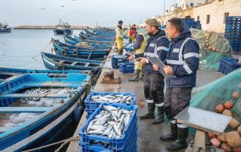 Firefly Photo réelle pêches marines et l’exploitation responsable des ressources halieutiqu 959347