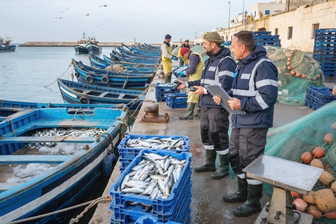 Firefly Photo réelle pêches marines et l’exploitation responsable des ressources halieutiqu 959347