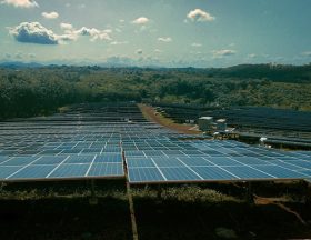 harisankar hp6Xj7LyZ1E unsplash