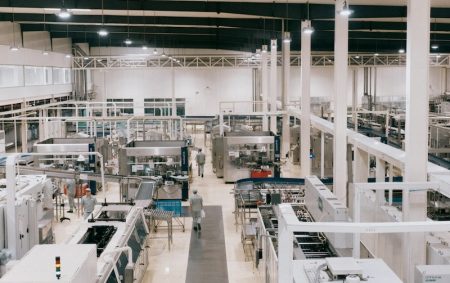 catgirlmutant jADekDuAPSA unsplash