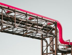 martin adams a PDPUPuNZ8 unsplash