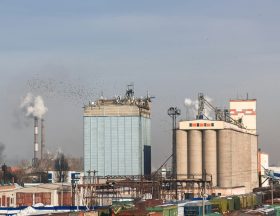 nick sorockin QUuMfBogaCw unsplash