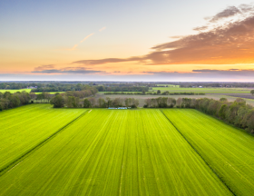 agriculture