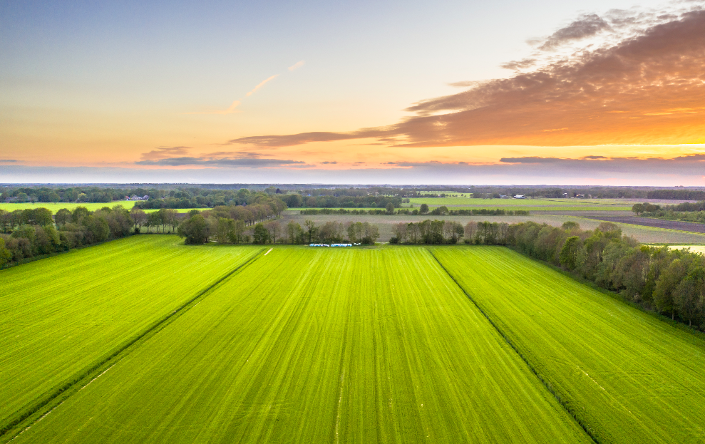 agriculture