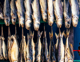 poissons