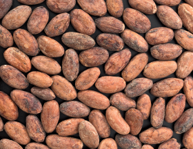 cacao